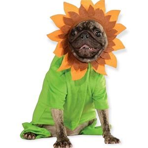 XL SUNFLOWER 🌻 DOG OUTFIT, DOG COSTUMES